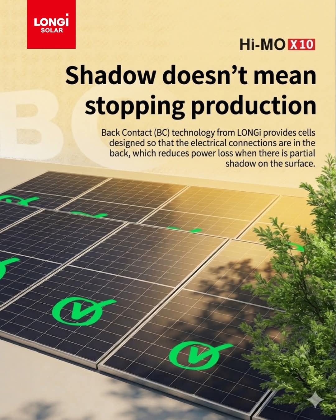 LONGi HiMo X10 Back Contact technology — shadow doesn't mean stopping production